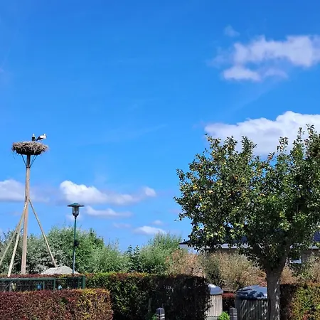 Cube 97 I 4 Persoons Met Hottub Holiday home