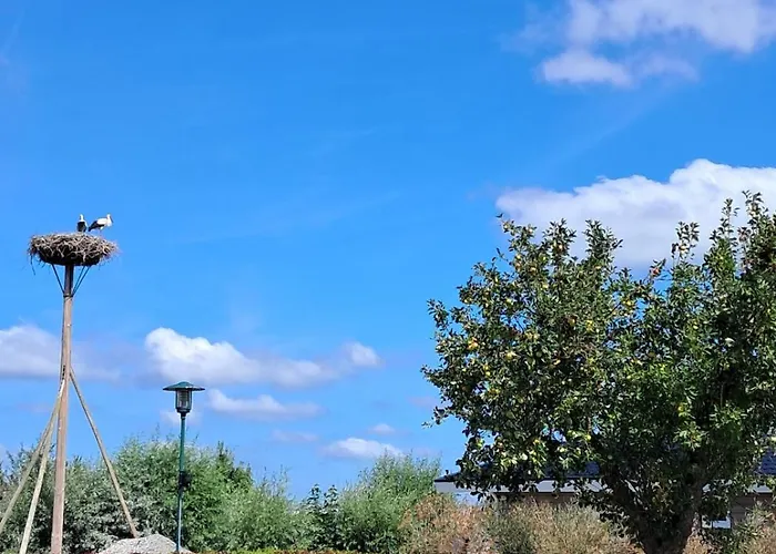 Cube 97 I 4 Persoons Met Hottub Holiday home